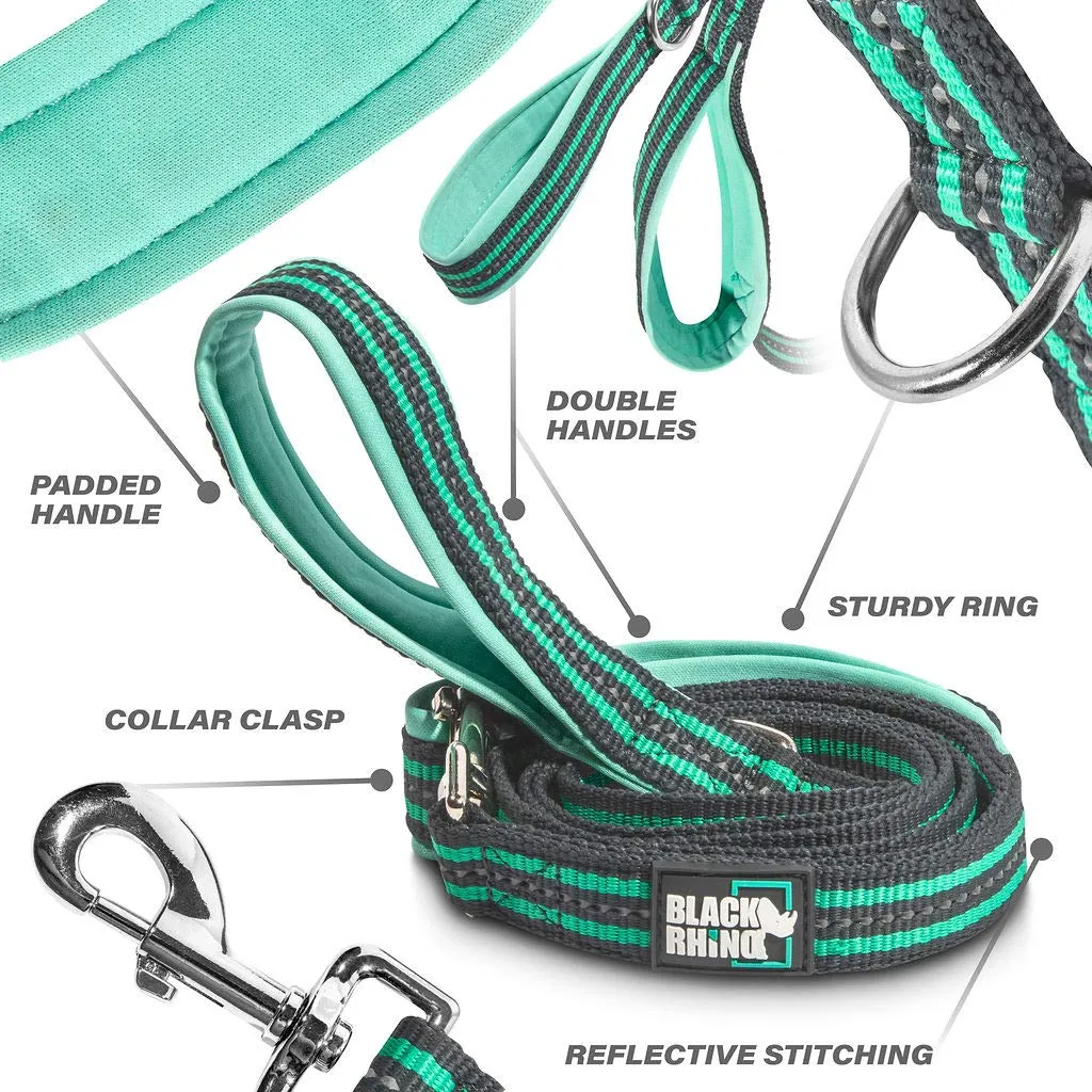 Dog Leash - Heavy Duty - Medium & Large Dogs  5ft Long Leashes  Two Traffic