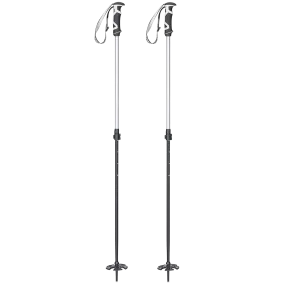 Lockjaw Aluminum Ski Poles